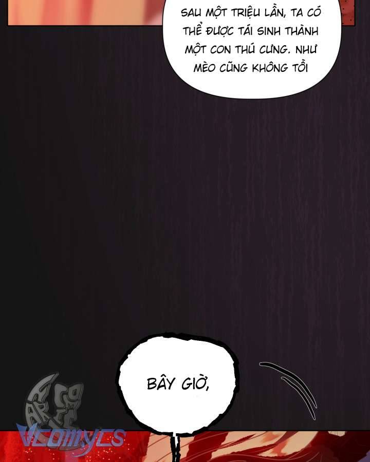 Sự Điều Trị Đặc Biệt Của Tinh Linh Chap 1.1 - Next Chap 2.1