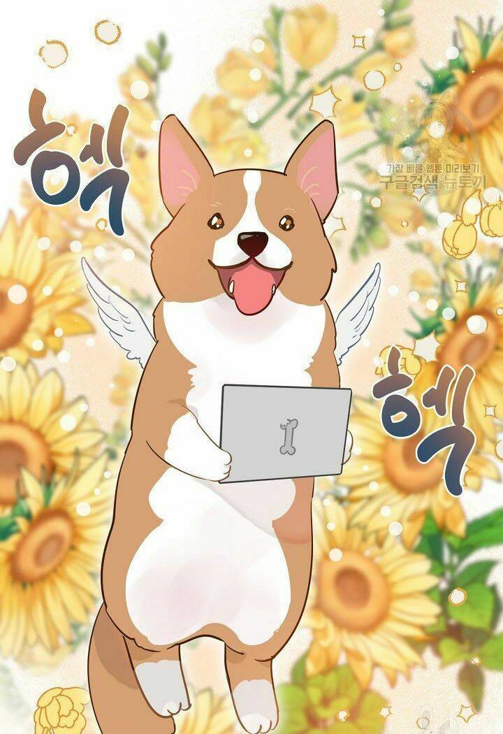 Sự Điều Trị Đặc Biệt Của Tinh Linh Chap 1 - Next Chap 2