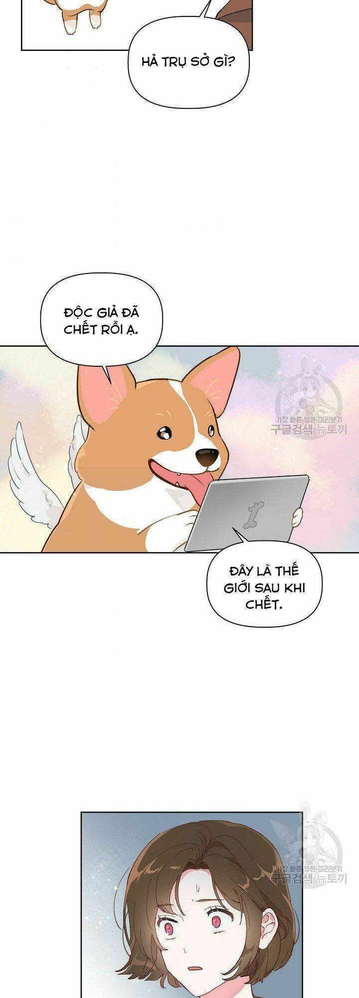 Sự Điều Trị Đặc Biệt Của Tinh Linh Chap 1 - Next Chap 2