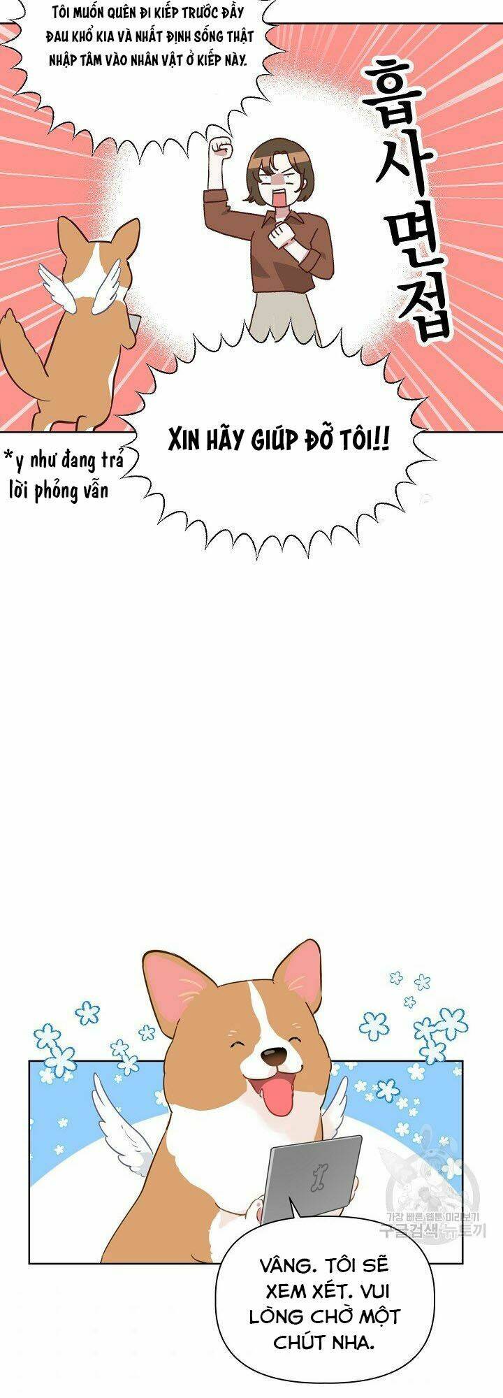 Sự Điều Trị Đặc Biệt Của Tinh Linh Chap 1 - Next Chap 2