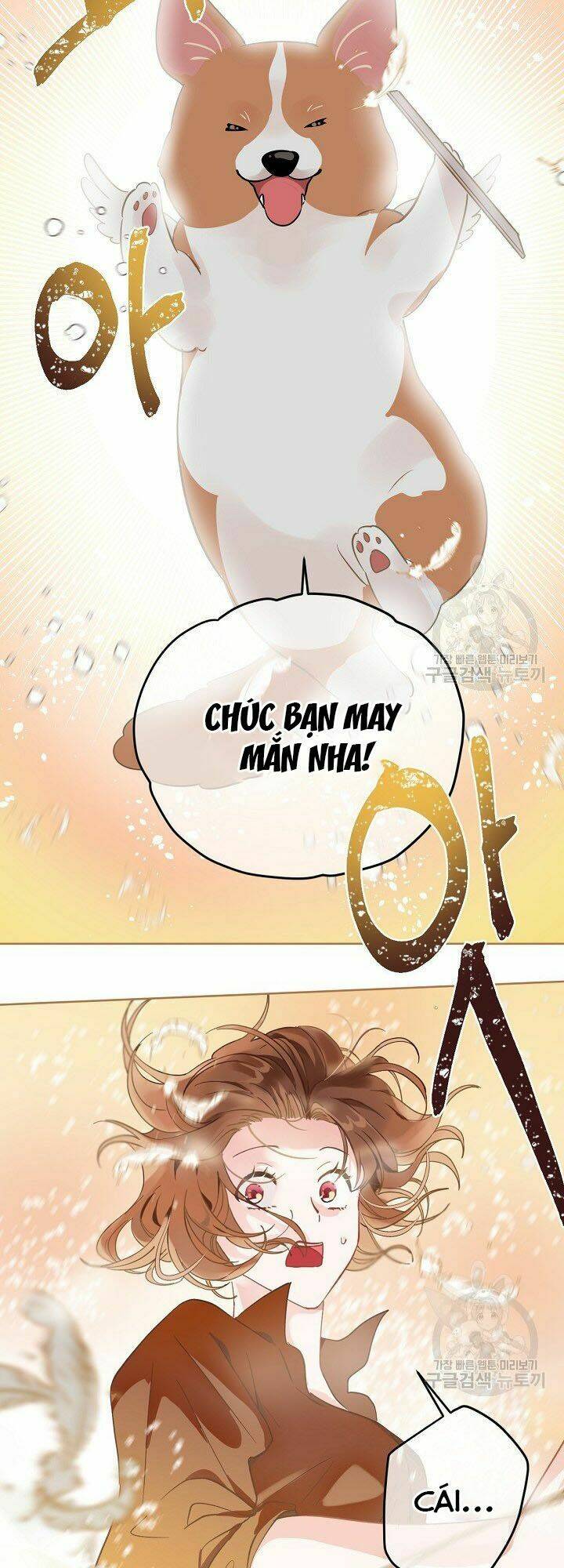 Sự Điều Trị Đặc Biệt Của Tinh Linh Chap 1 - Next Chap 2