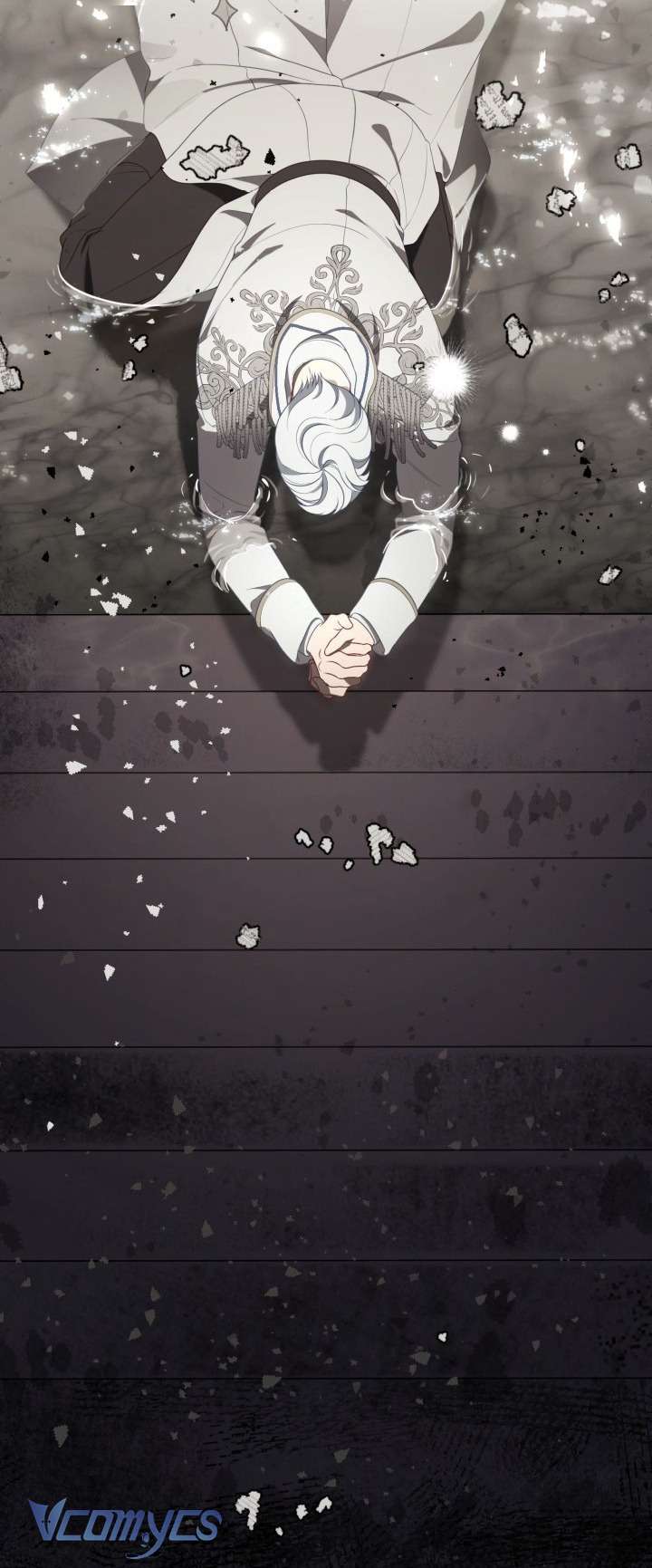 Sự Điều Trị Đặc Biệt Của Tinh Linh Chap 116 - Next Chap 117