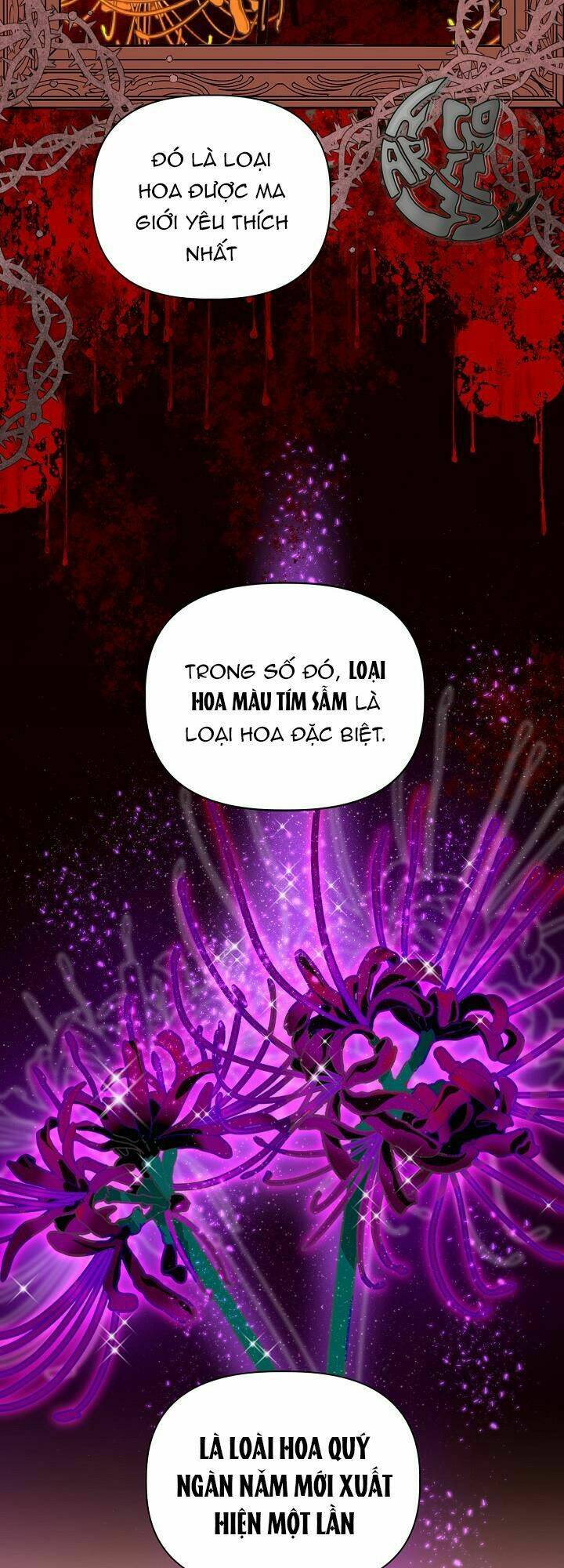 Sự Điều Trị Đặc Biệt Của Tinh Linh Chap 26 - Next Chap 27