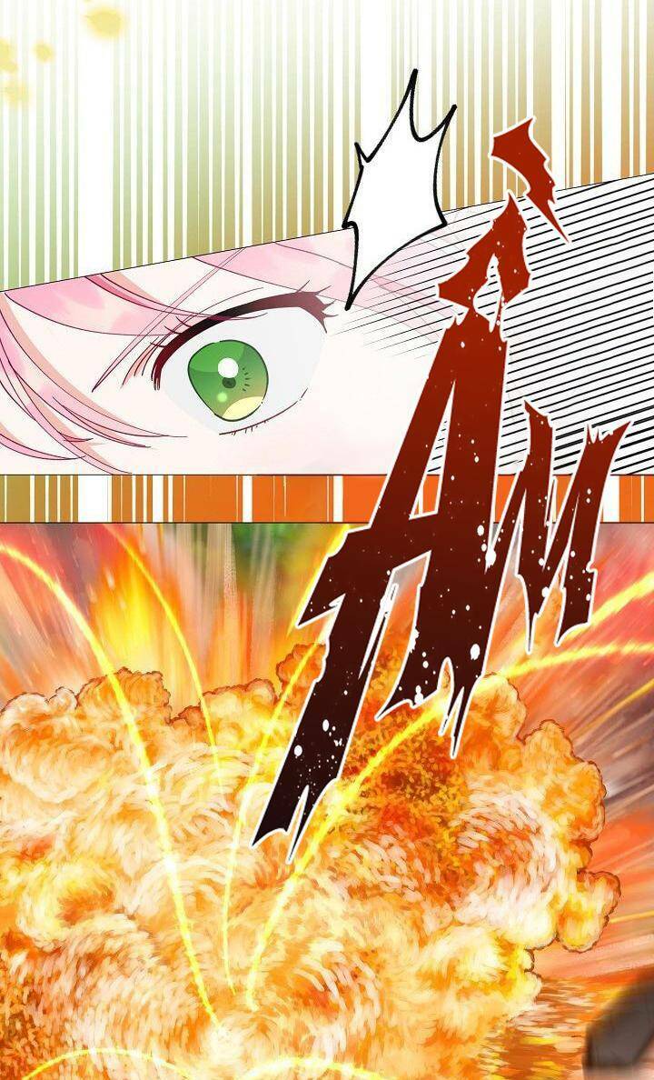 Sự Điều Trị Đặc Biệt Của Tinh Linh Chap 46 - Next Chap 47