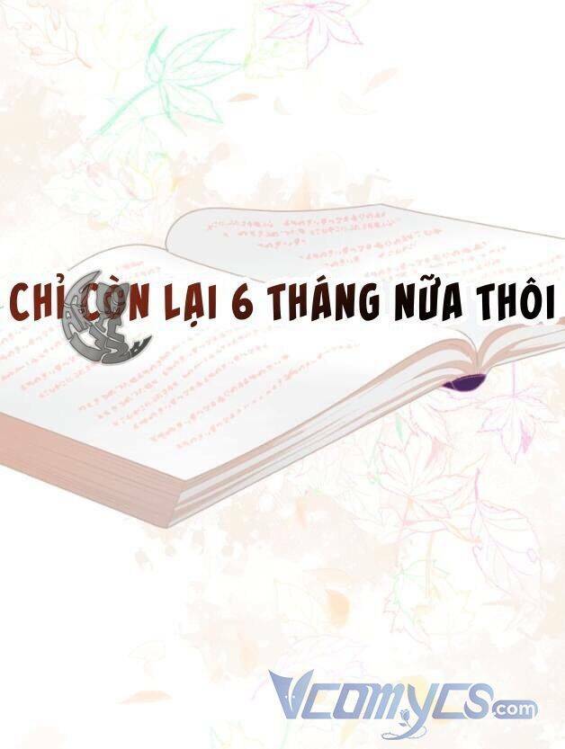 Sự Điều Trị Đặc Biệt Của Tinh Linh Chap 50 - Next Chap 51