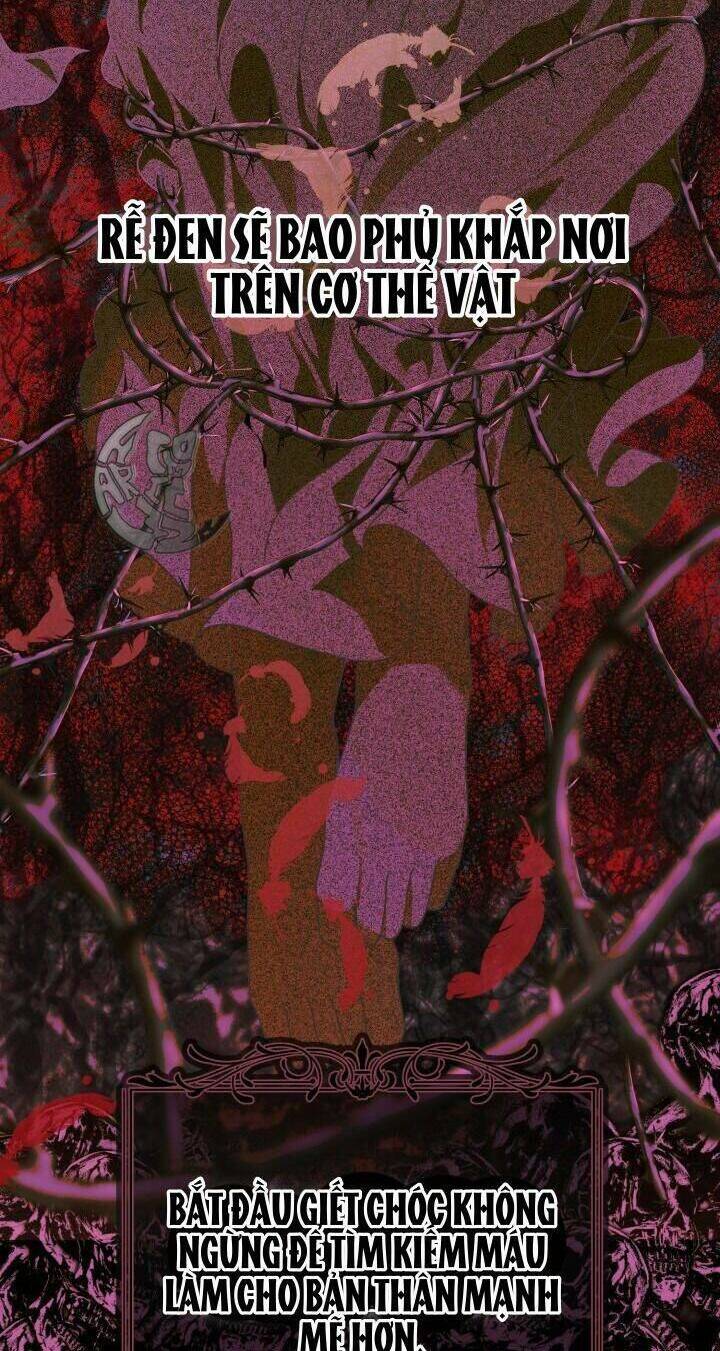 Sự Điều Trị Đặc Biệt Của Tinh Linh Chap 58 - Next Chap 59