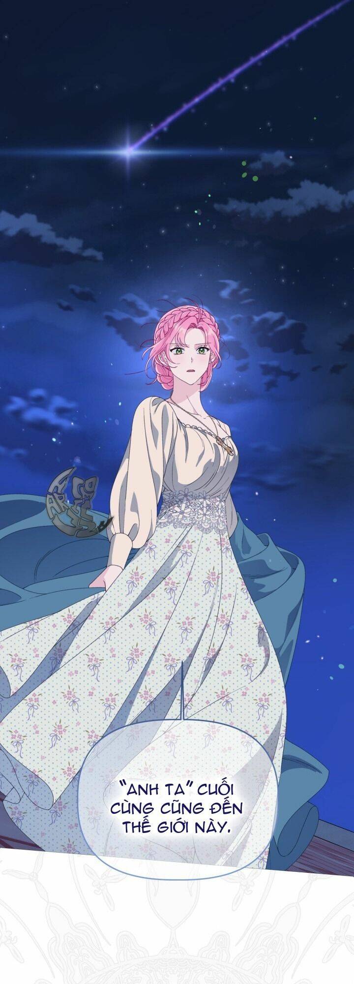 Sự Điều Trị Đặc Biệt Của Tinh Linh Chap 65 - Next Chap 66