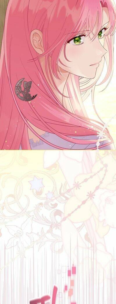 Sự Điều Trị Đặc Biệt Của Tinh Linh Chap 66 - Next Chap 67