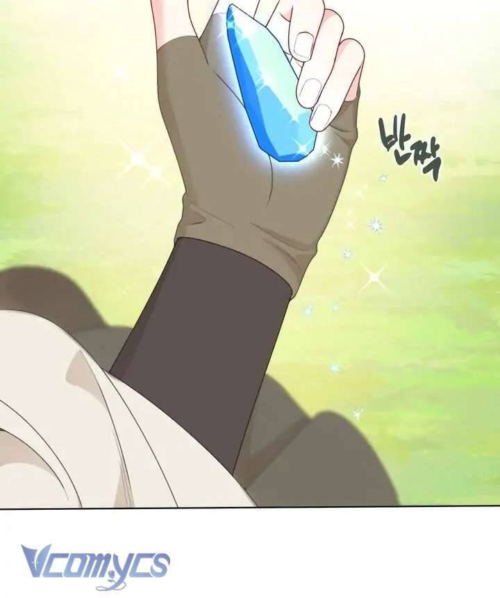 Sự Điều Trị Đặc Biệt Của Tinh Linh Chap 70 - Next Chap 71