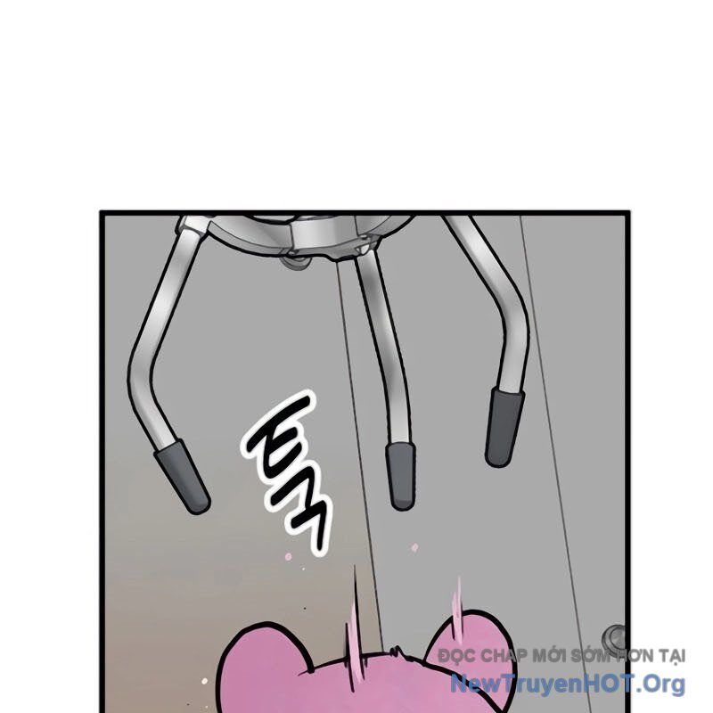 Sự Im Lặng Của Học Sinh Chuyển Trường Chap 12 - Next Chap 13