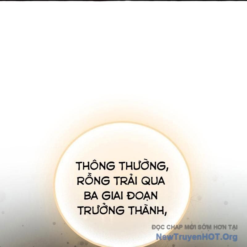 Sự Ra Đời Của Một Anh Hùng Chap 157 - Next Chap 158