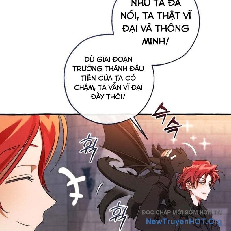 Sự Ra Đời Của Một Anh Hùng Chap 162 - Next Chap 163