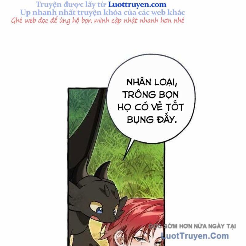 Sự Ra Đời Của Một Anh Hùng Chap 167 - Next Chap 168