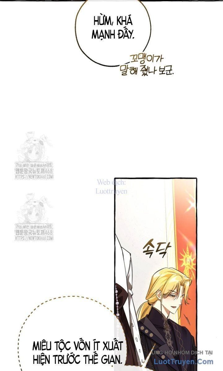 Sự Ra Đời Của Một Anh Hùng Chap 170 - Next Chap 171