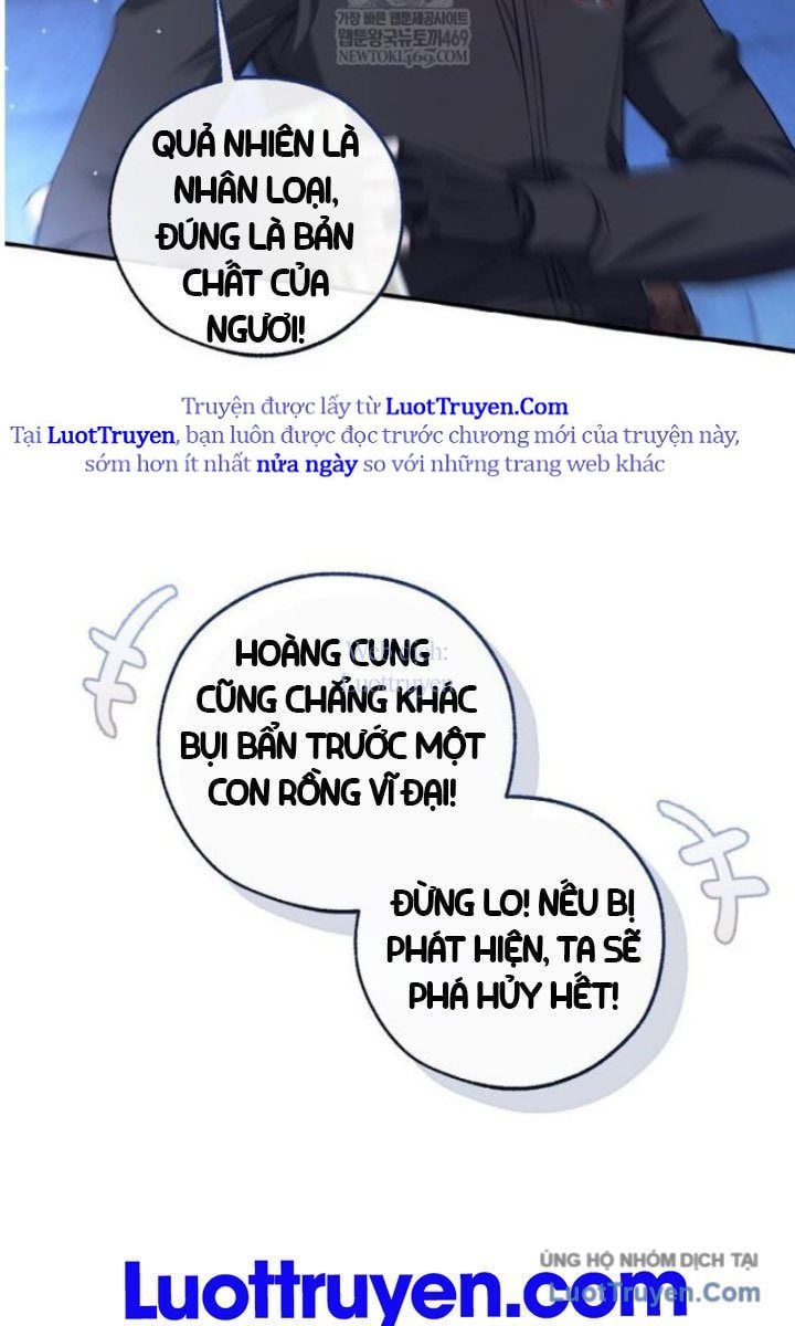 Sự Ra Đời Của Một Anh Hùng Chap 172 - Next Chap 173