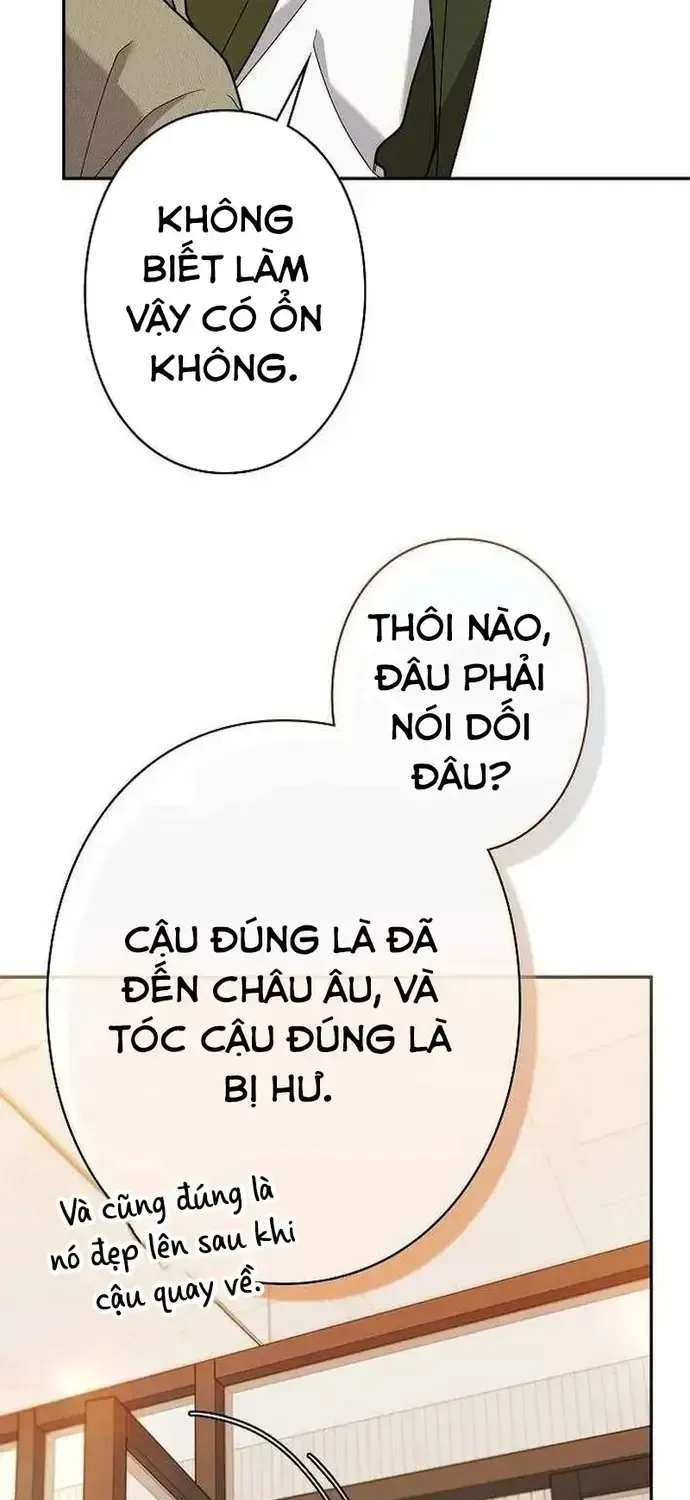 Sự Tái Sinh Của Nhà Thiết Kế Tài Ba Chap 62 - Next Chap 63