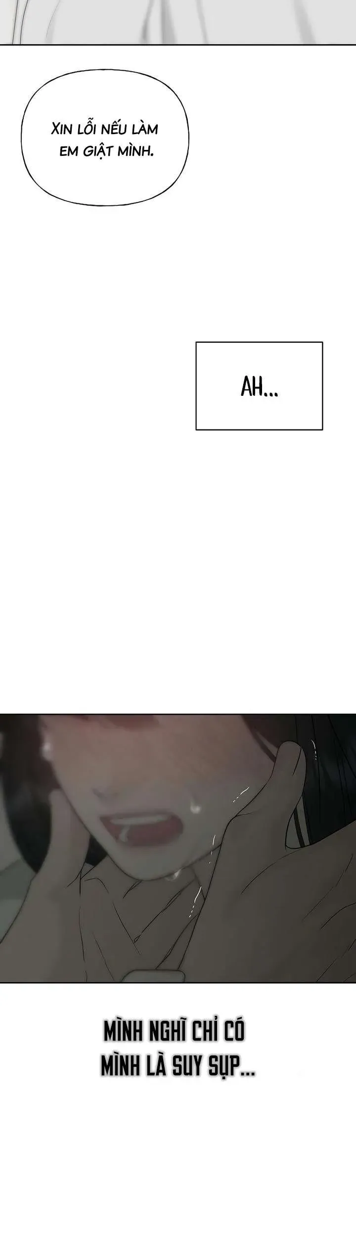 Sự Thâm Nhập Dịu Dàng Chap 13 - Next Chap 14