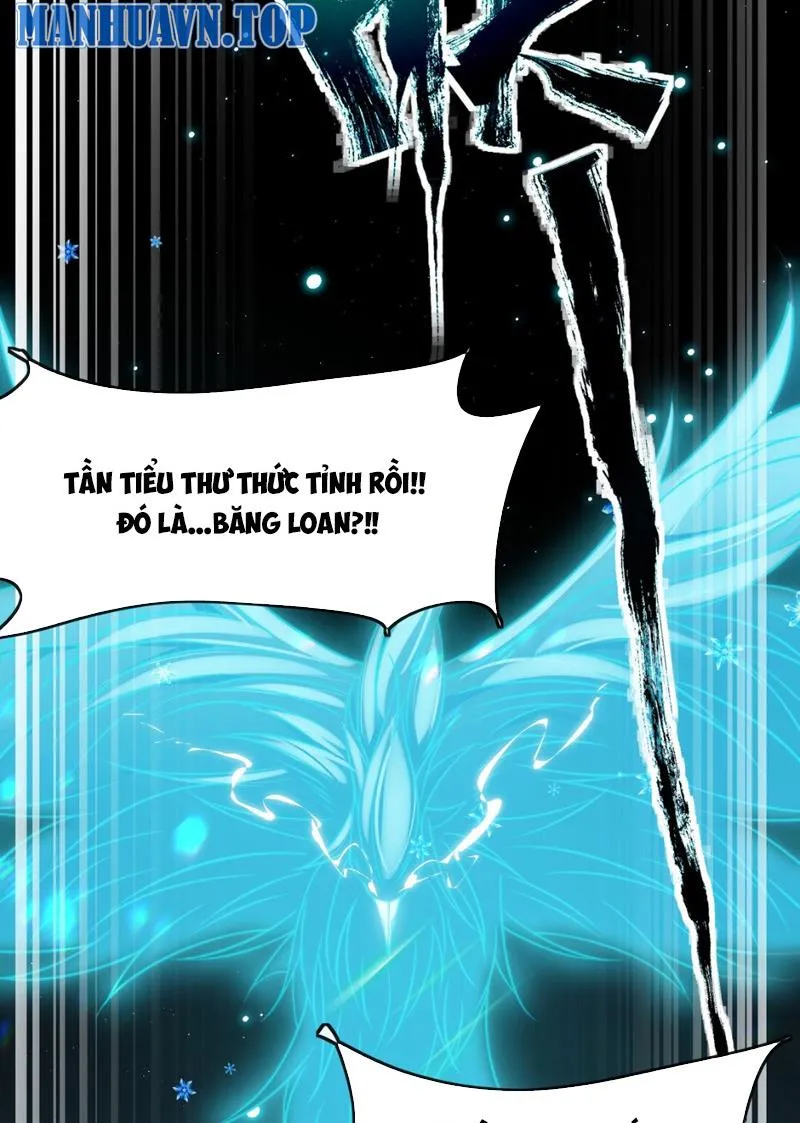Sử Thượng Tối Cường Tỷ Phu Chap 1 - Next Chap 2