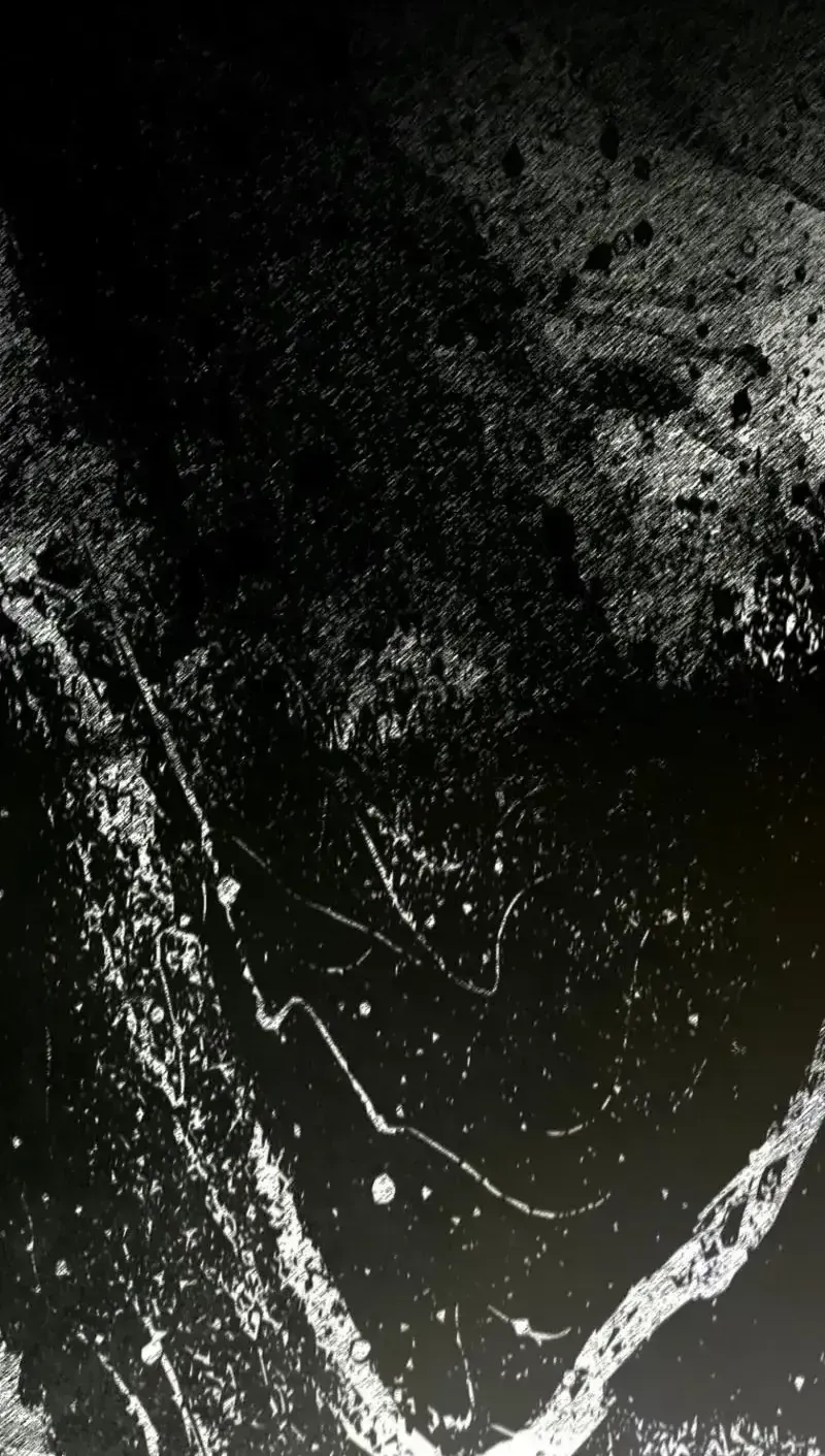 Sự Trả Thù Của Đứa Con Ngoài Dã Thú Chap 23 - Next Chap 24