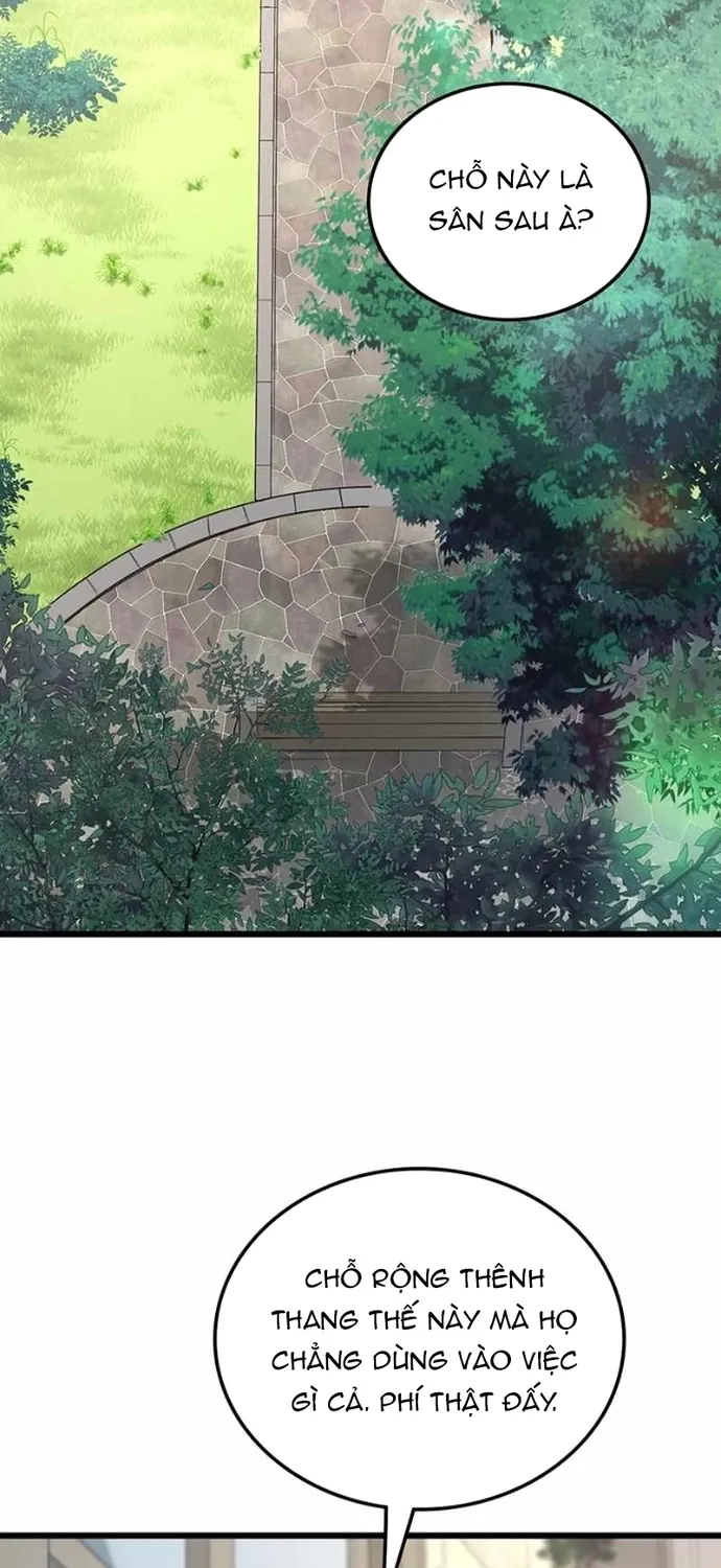 Sự Trở Lại Của Giáo Sư Runebound Chap 56 - Next Chap 57