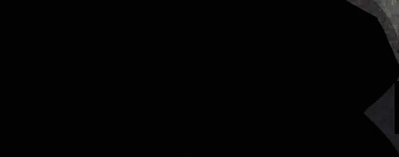83