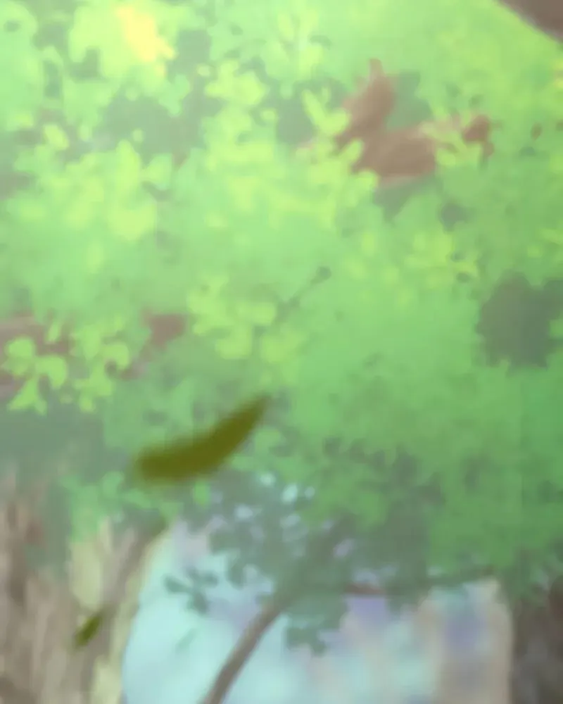 Sự Trở Lại Của Kiếm Sĩ Bóng Đêm Chap 2 - Next Chap 3
