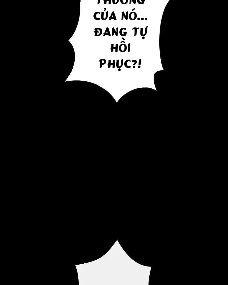 Sự Trở Lại Của Kiếm Sĩ Bóng Đêm Chap 5 - Next Chap 6