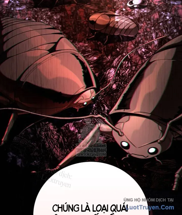 Sự Trở Lại Của Người Chơi Bị Đóng Băng Chap 204 - Next Chap 205