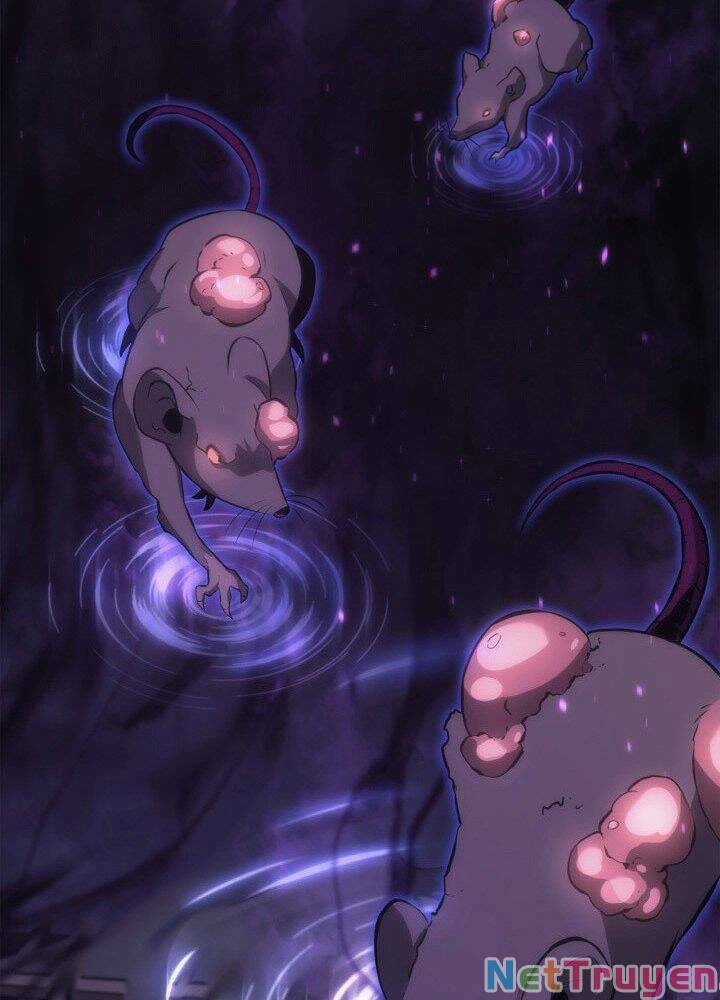 Sự Trở Lại Của Người Chơi Cấp Sss Chap 13 - Next Chap 14