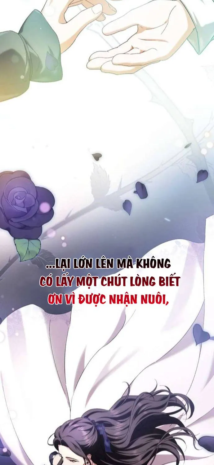 Sự Trở Lại Của Nữ Hoàng Thị Phi Chap 1 - Next Chap 2