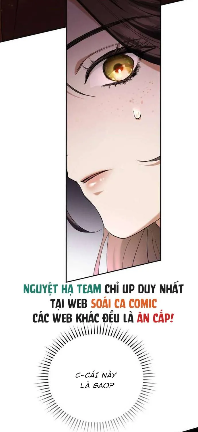 Sự Trở Lại Của Nữ Hoàng Thị Phi Chap 1 - Next Chap 2