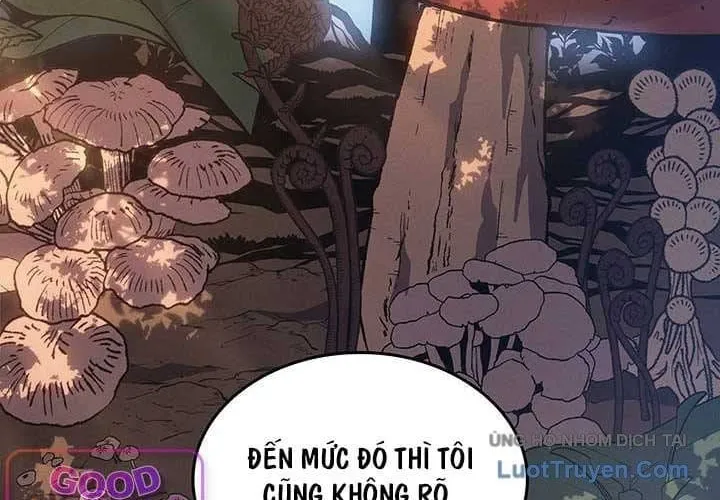 Sự Trở Lại Của Pháp Sư Vĩ Đại Sau 4000 Năm Chap 280 - Next Chap 281