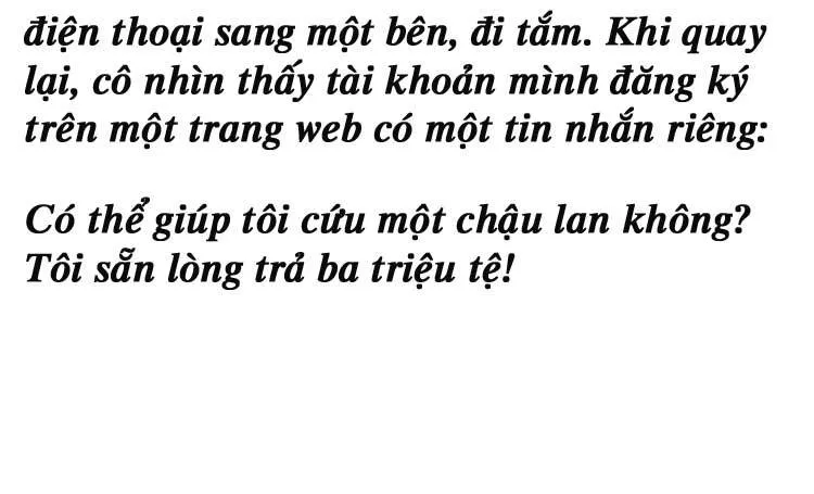 Sự Trở Lại Cực Gắt Của Chị Đại Sau Hủy Hôn Chap 244 - Next Chap 245