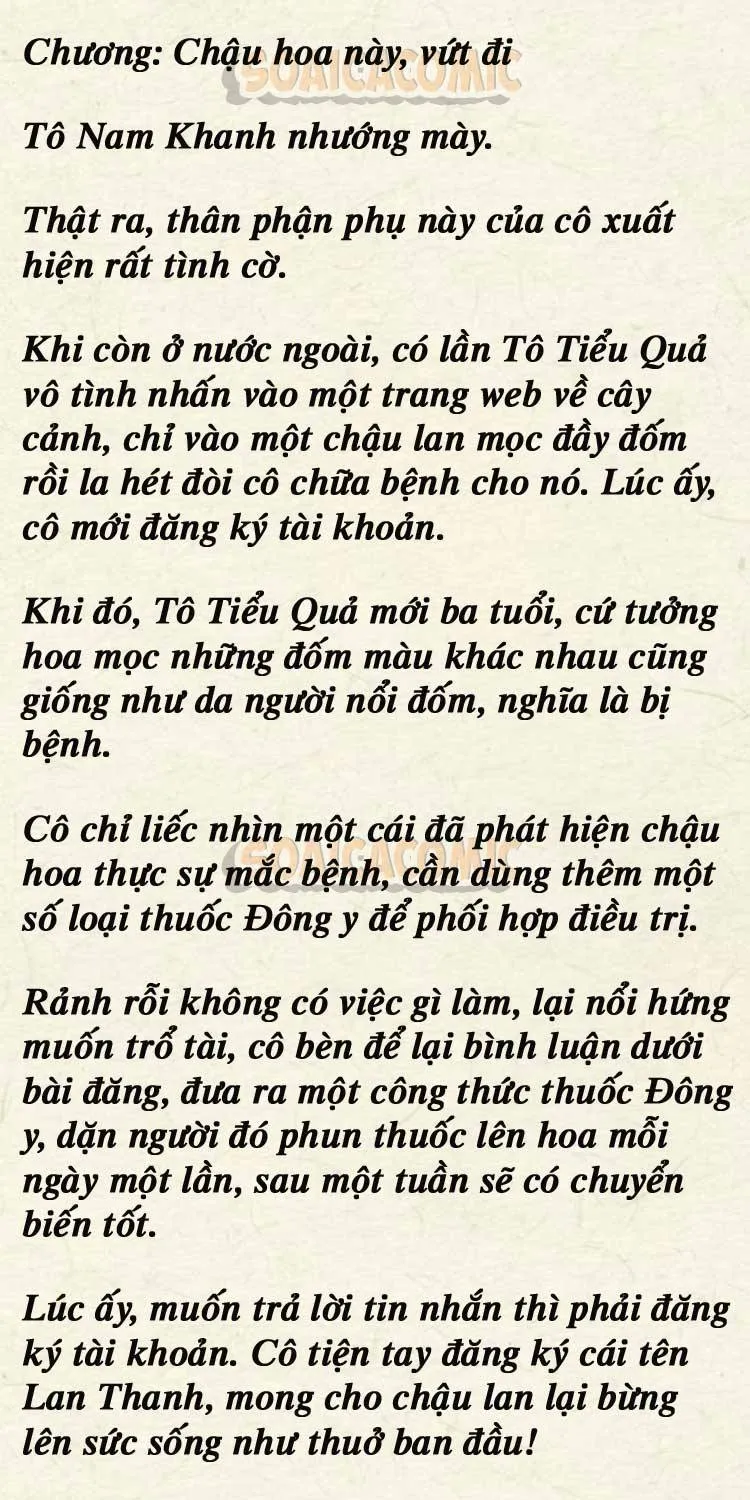 Sự Trở Lại Cực Gắt Của Chị Đại Sau Hủy Hôn Chap 245 - Next Chap 246