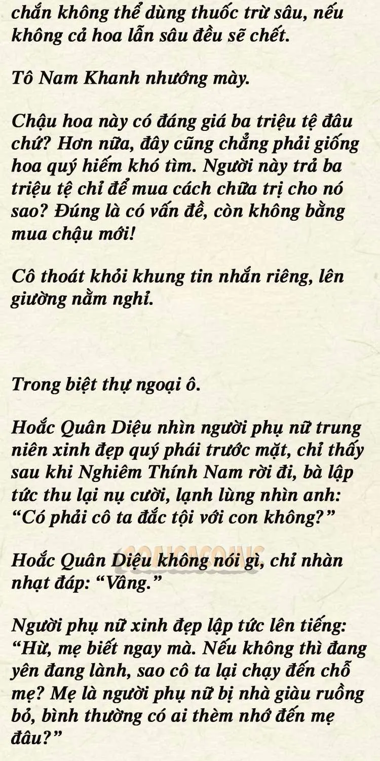 Sự Trở Lại Cực Gắt Của Chị Đại Sau Hủy Hôn Chap 245 - Next Chap 246