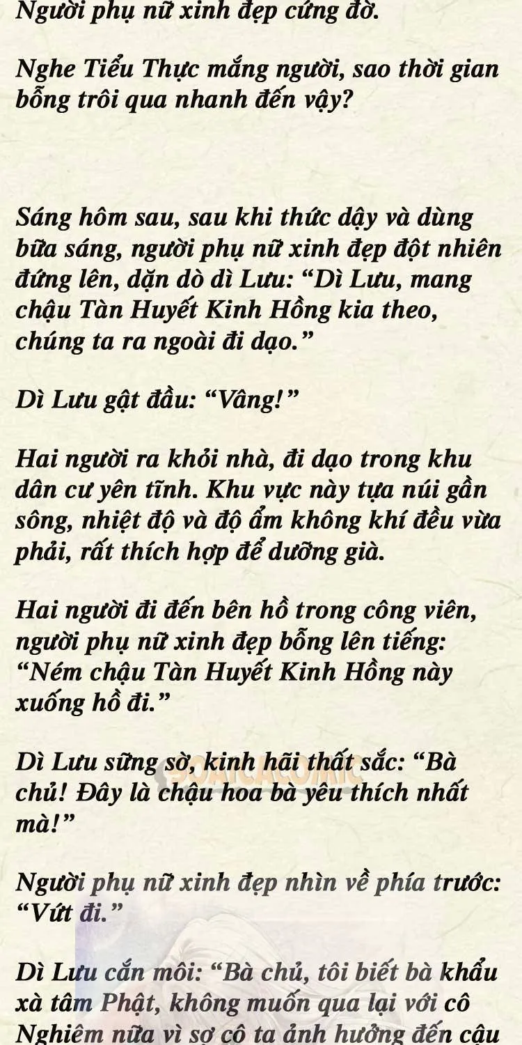 Sự Trở Lại Cực Gắt Của Chị Đại Sau Hủy Hôn Chap 245 - Next Chap 246