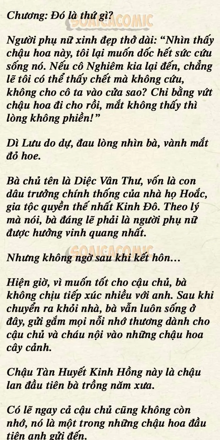 Sự Trở Lại Cực Gắt Của Chị Đại Sau Hủy Hôn Chap 246 - Next Chap 247