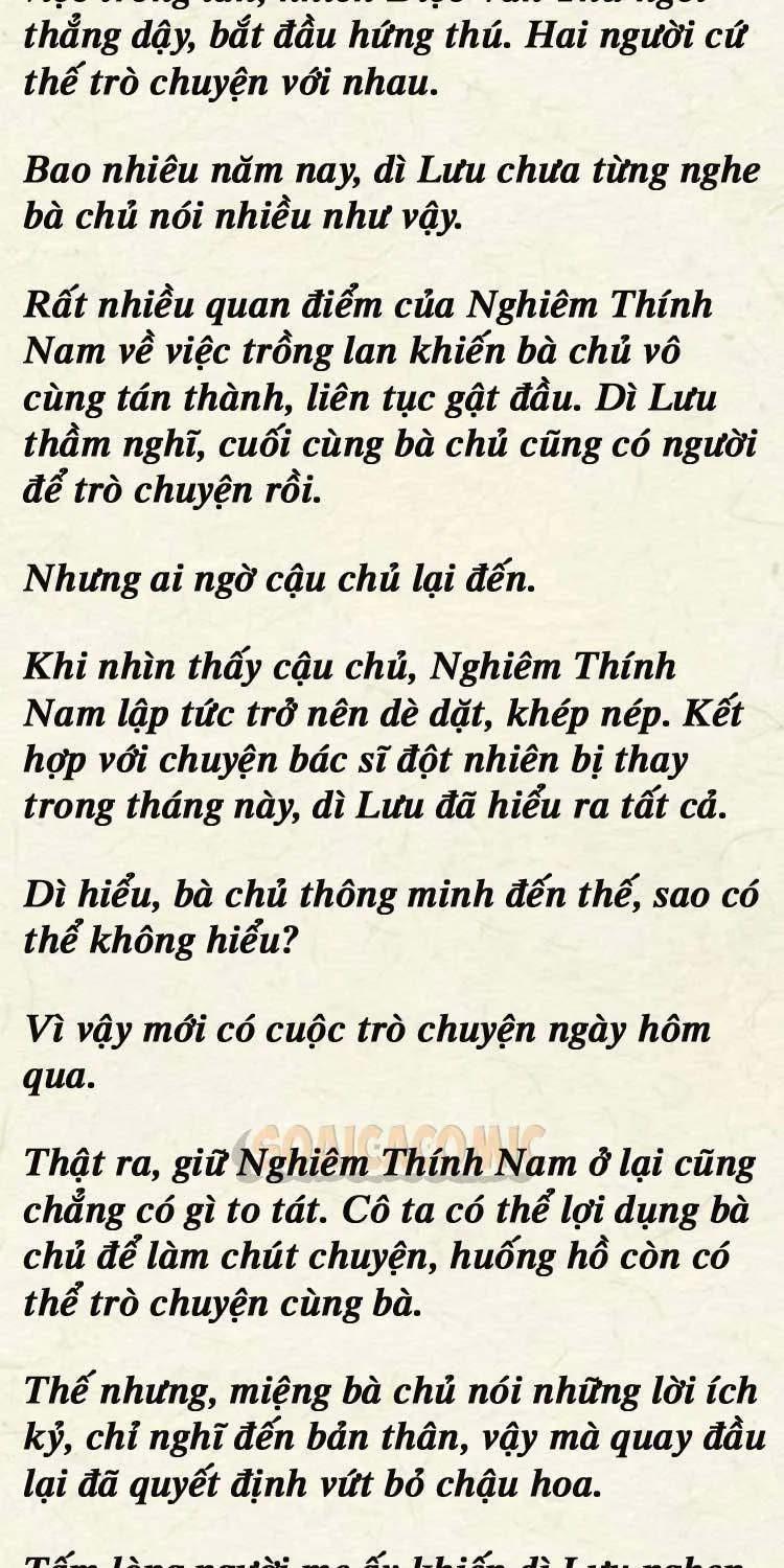 Sự Trở Lại Cực Gắt Của Chị Đại Sau Hủy Hôn Chap 246 - Next Chap 247