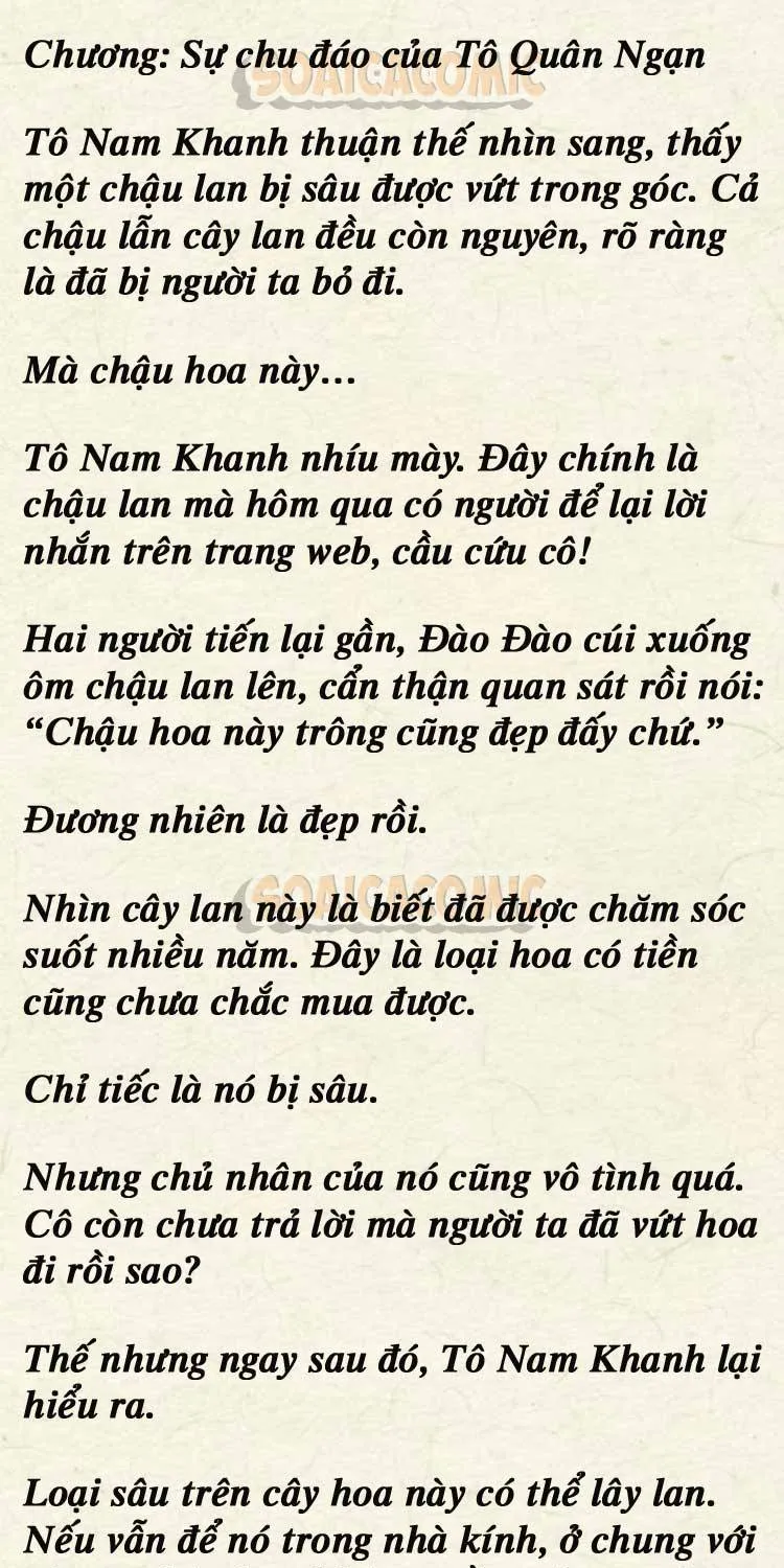 Sự Trở Lại Cực Gắt Của Chị Đại Sau Hủy Hôn Chap 247 - Next Chap 248