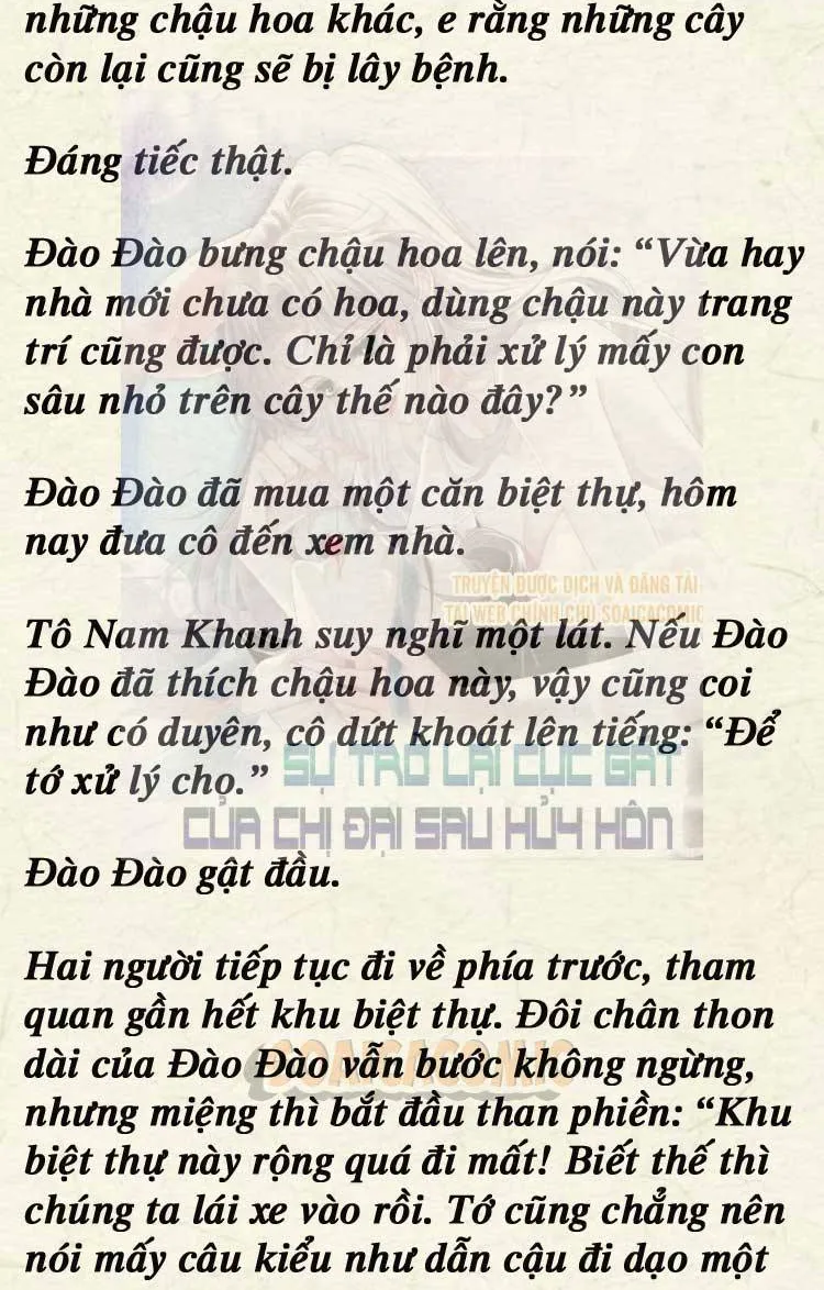 Sự Trở Lại Cực Gắt Của Chị Đại Sau Hủy Hôn Chap 247 - Next Chap 248