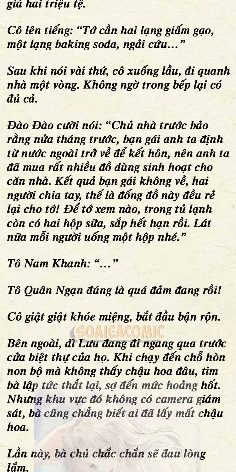 Sự Trở Lại Cực Gắt Của Chị Đại Sau Hủy Hôn Chap 247 - Next Chap 248