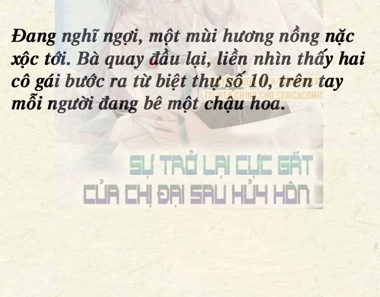 Sự Trở Lại Cực Gắt Của Chị Đại Sau Hủy Hôn Chap 247 - Next Chap 248