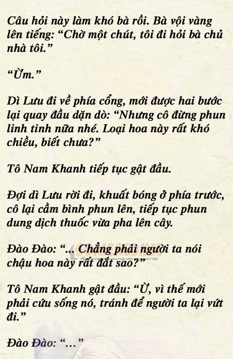 Sự Trở Lại Cực Gắt Của Chị Đại Sau Hủy Hôn Chap 248 - Next Chap 249