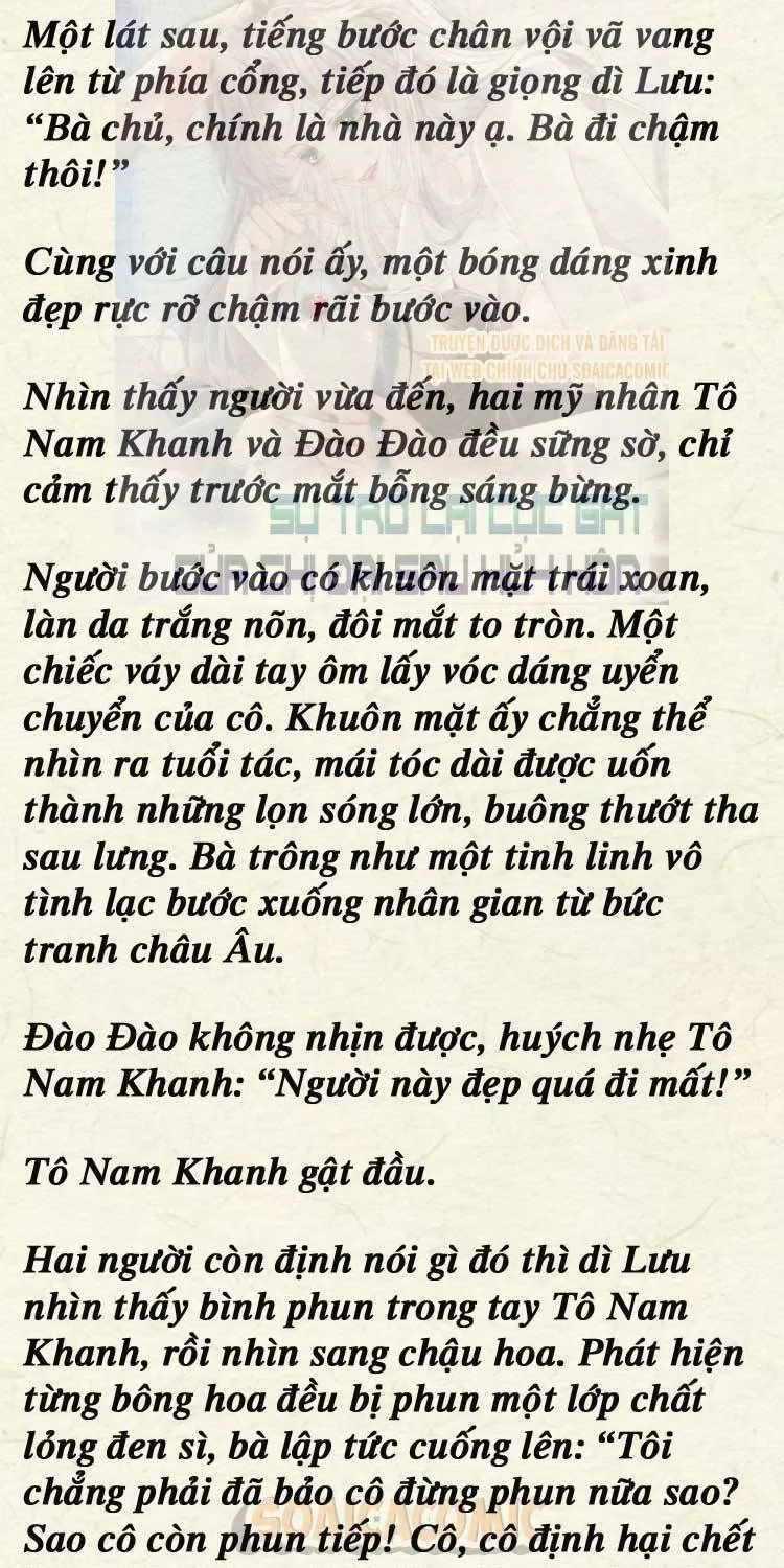 Sự Trở Lại Cực Gắt Của Chị Đại Sau Hủy Hôn Chap 248 - Next Chap 249