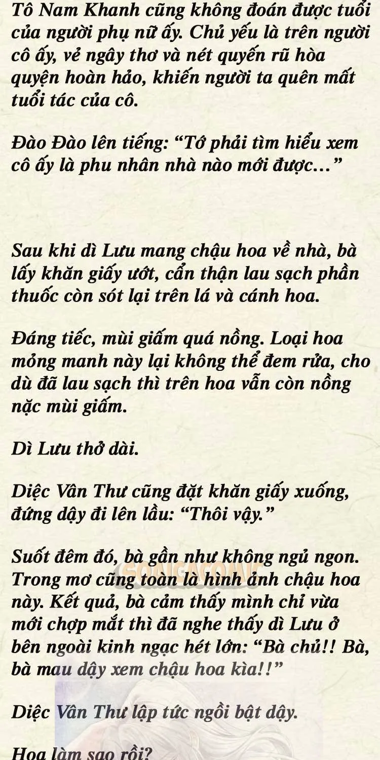 Sự Trở Lại Cực Gắt Của Chị Đại Sau Hủy Hôn Chap 248 - Next Chap 249