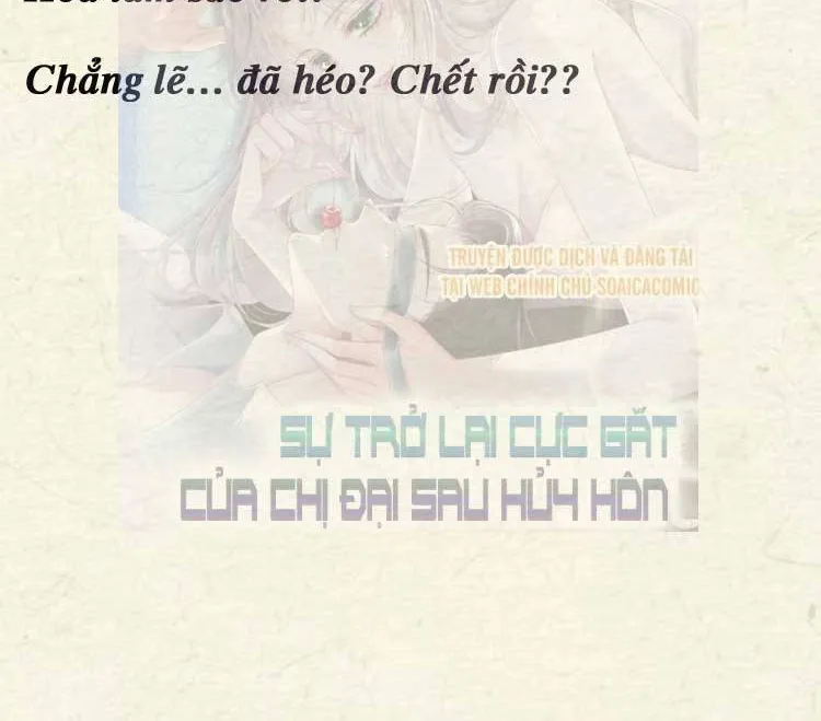 Sự Trở Lại Cực Gắt Của Chị Đại Sau Hủy Hôn Chap 248 - Next Chap 249