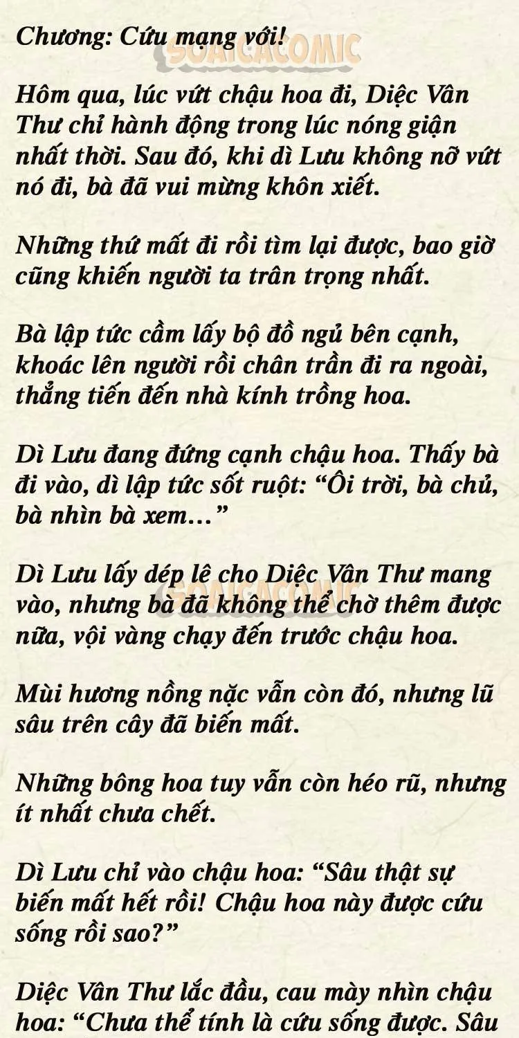 Sự Trở Lại Cực Gắt Của Chị Đại Sau Hủy Hôn Chap 249 - Next Chap 250