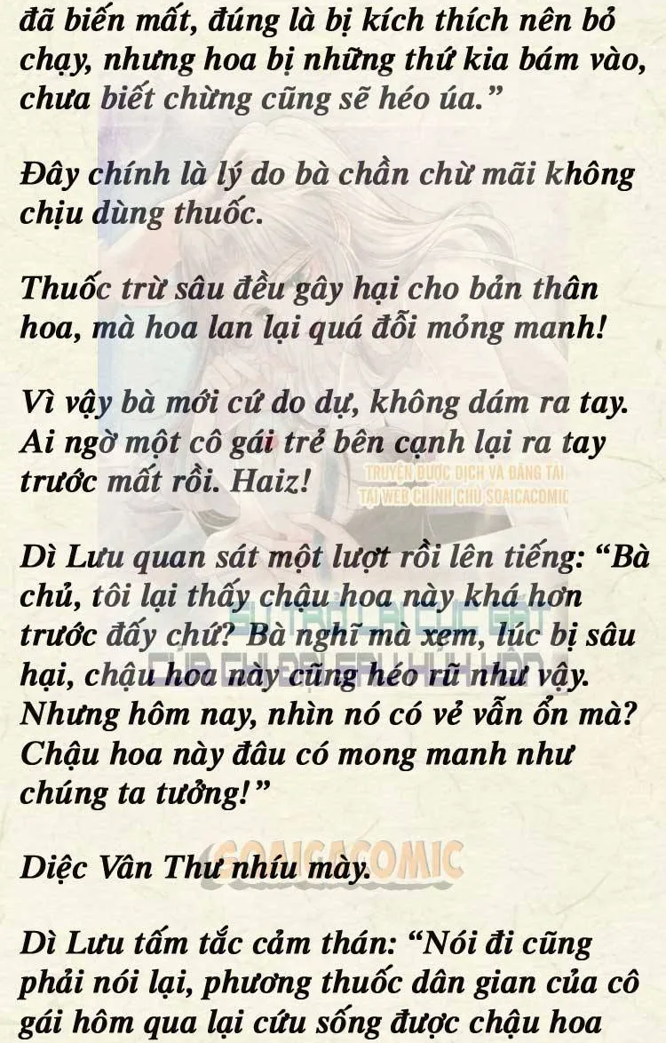 Sự Trở Lại Cực Gắt Của Chị Đại Sau Hủy Hôn Chap 249 - Next Chap 250
