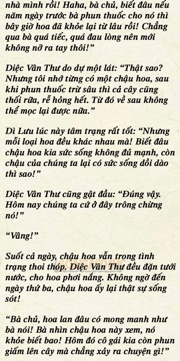Sự Trở Lại Cực Gắt Của Chị Đại Sau Hủy Hôn Chap 249 - Next Chap 250