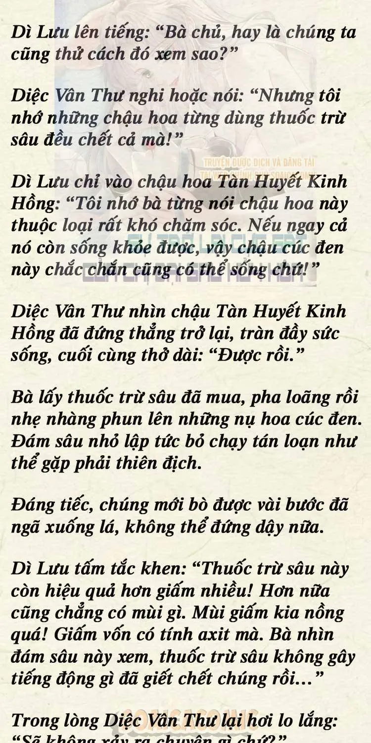 Sự Trở Lại Cực Gắt Của Chị Đại Sau Hủy Hôn Chap 249 - Next Chap 250